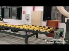 Automatische Stahlrollenfördermaschine zur Be- und Entladen von Holzplatten